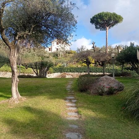 Ferienwohnung Casa Degli Ulivi Lerici Exterior foto
